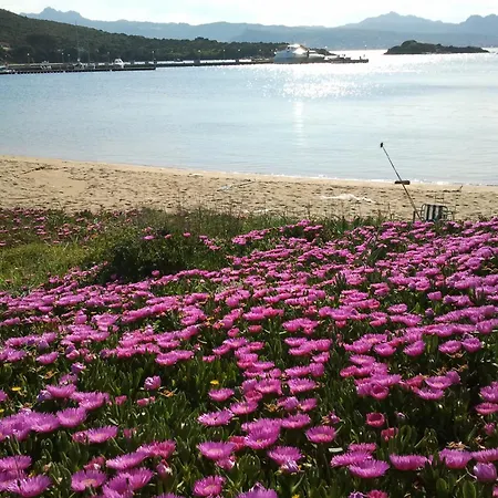 Holiday home Alba Baja Sardinia
